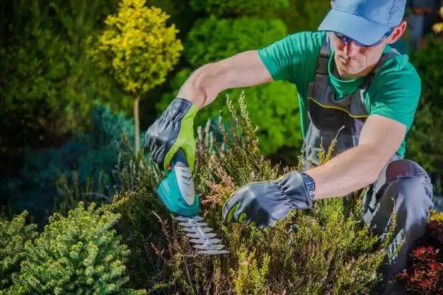 landscaping services Spackenkill